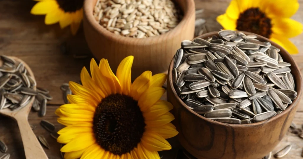 Sunflower Seeds Image