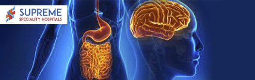 Understanding the Gut-Brain Connection and the Effects of Stress on Digestion