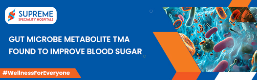 Gut Microbe Metabolite TMA Found to Improve Blood Sugar